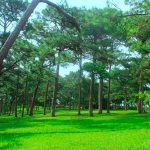 doi thong hai mo diem dung chan khac khoai mot noi buon 150x150 - Stt tâm trạng buồn về tình yêu ngắn gọn hay và ý nghĩa nhất