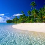 bai dai phu quoc 150x150 - Thưởng thức còi biên mai Phú Quốc, hương vị nguyên sơ của biển cả