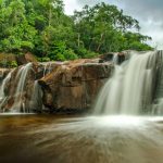 nhung diem can den khi du lich Phu Quoc 2 150x150 - Thưởng thức còi biên mai Phú Quốc, hương vị nguyên sơ của biển cả