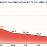 giá vàng miếng SJC